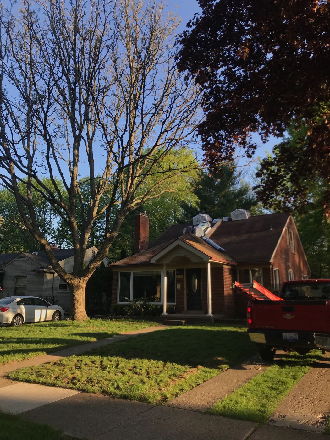 Before: Front of house / roof before, Royal Oak