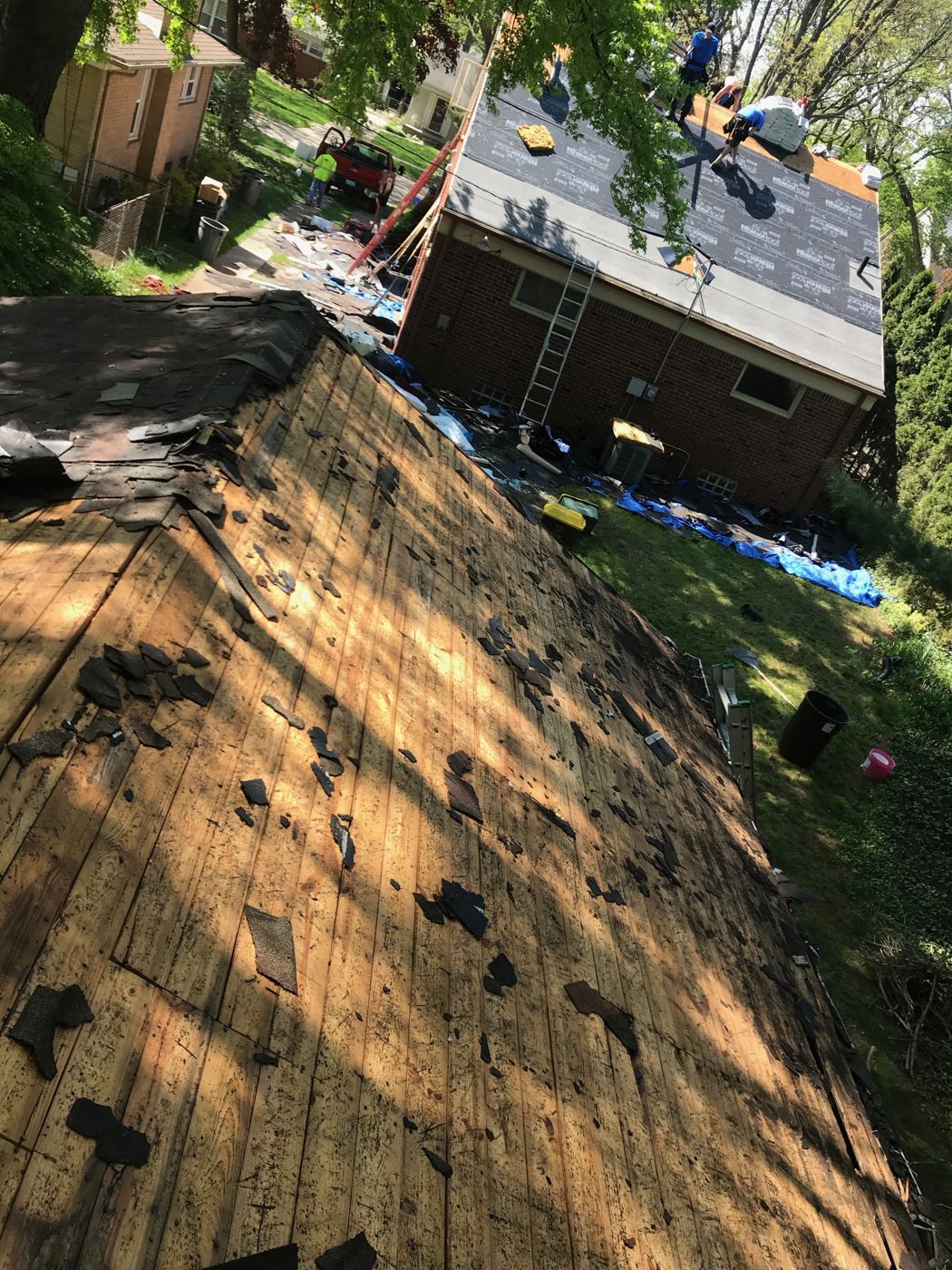 Before: Roof close-up before, Royal Oak
